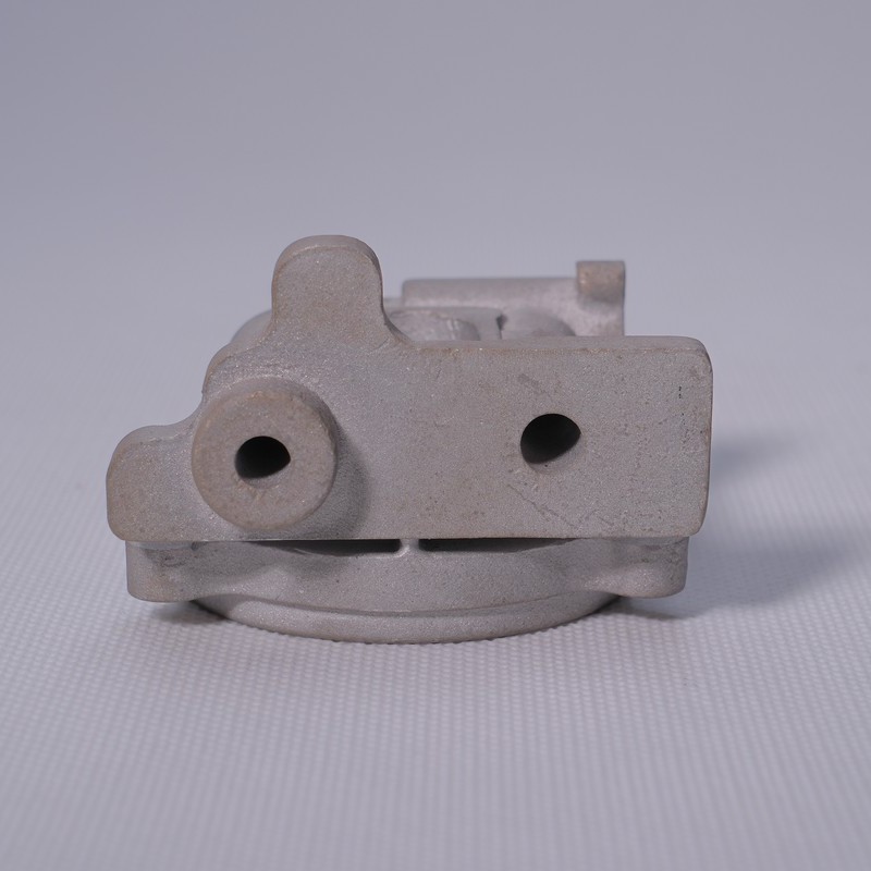 SLM 3D Printed Metal