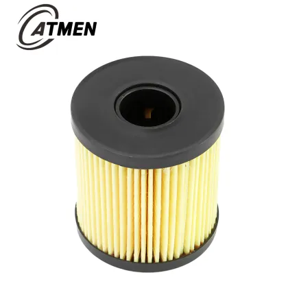 Auto Oil Filters Element 1717510 LR001247