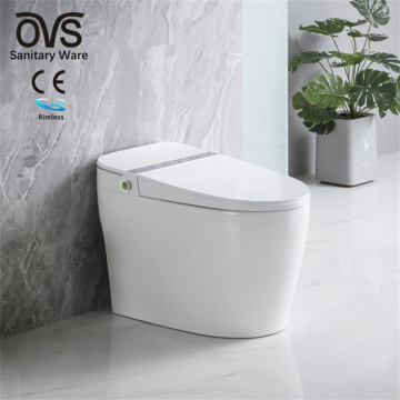 Ovs Ce Europe White Color Washdown Automatic Smart Intelligent Ceramic Toilet With Hidden Tank