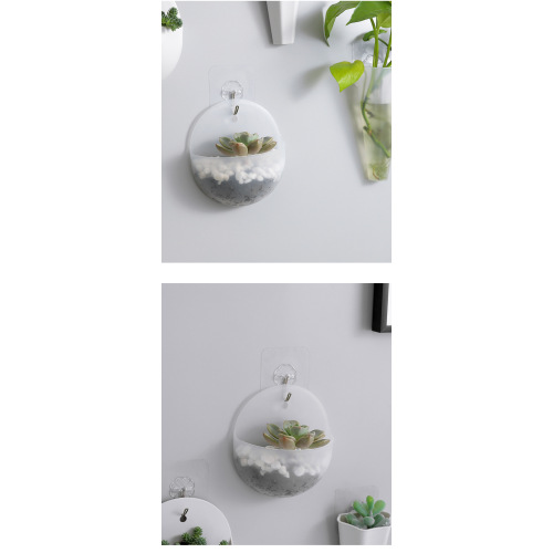 Water culture wall hanging flower pot