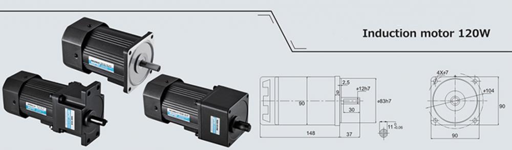 120w Induction Ac Motor