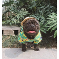 Dog Hawaiian T-Shirt Apparel