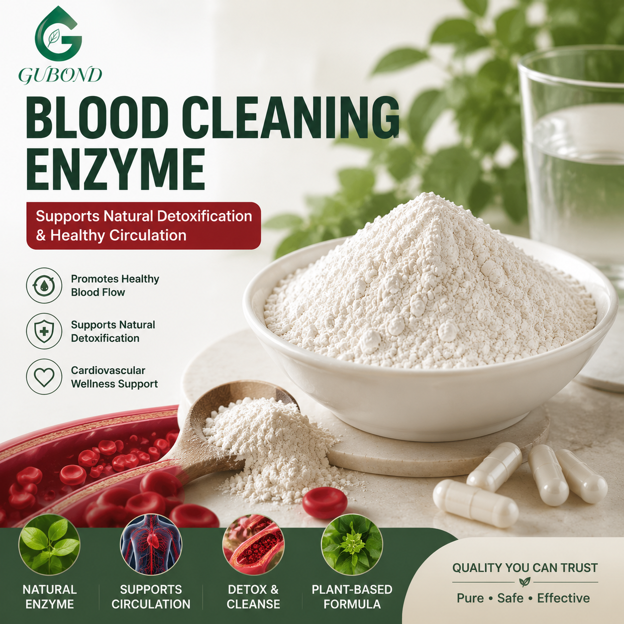 Blood Cleaning Enzyme