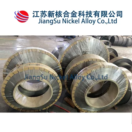 High-Temperature GH605/ Haynes 25 Strip