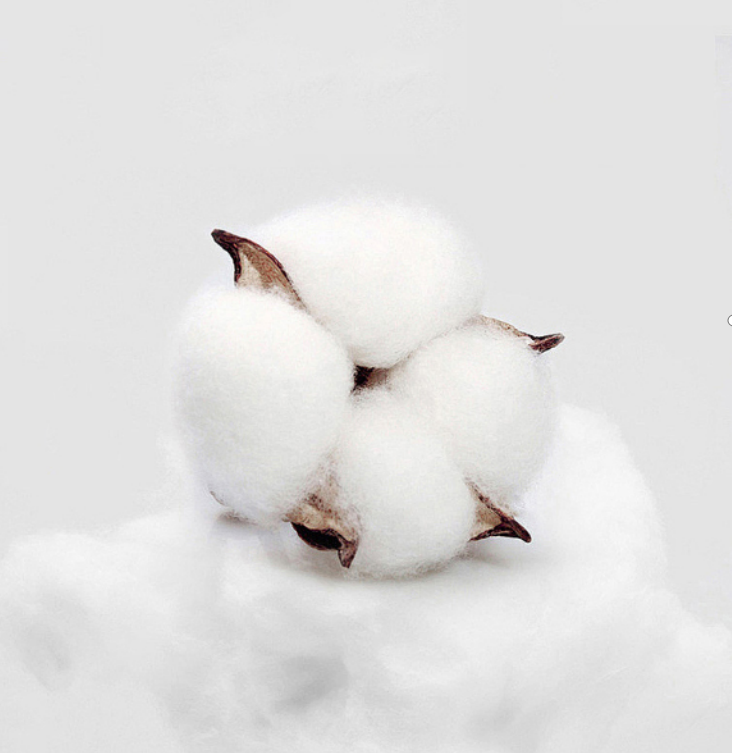 5 Star Hotel Bedding Sets