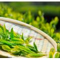 Óleo essencial de chá verde chinês