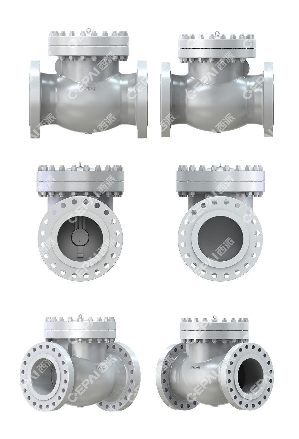 Casting Swing Check Valve8
