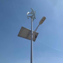 Hot Selling Wind-Solar Hybrid Street Light