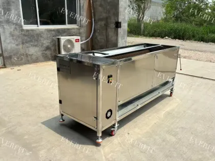 U-shaped Dates Vibrator Palm Dates Processing Machine - Date Washing Machine