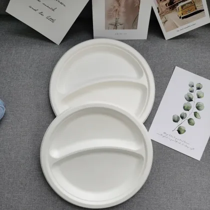 Biodegradable compartment plates disposable bagasse plates