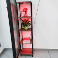 Remote RGBW LED light bulbs shelf floor lamp