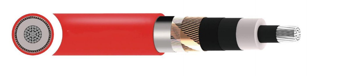 NA2XS(FL)H 6/10(12)kV Cable
