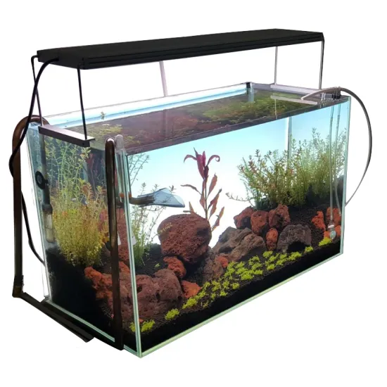 Aquarium Acrylic Plate with LED Backlight for Decoration RHOS CE