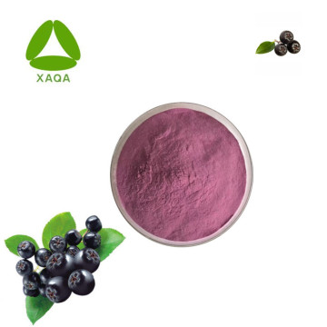 Pure Black Chokeberry Freeze Dried 99% Organic Powder