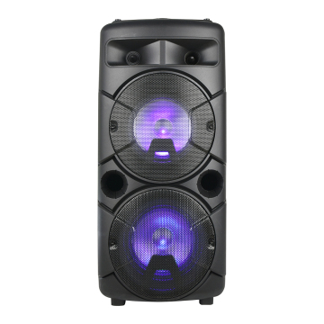 Portable 6.5 Inch Party DJ Amplifier Trolley Speaker