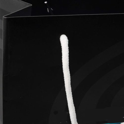 Custom Craft Gift Packaging Printed Shopping Bags