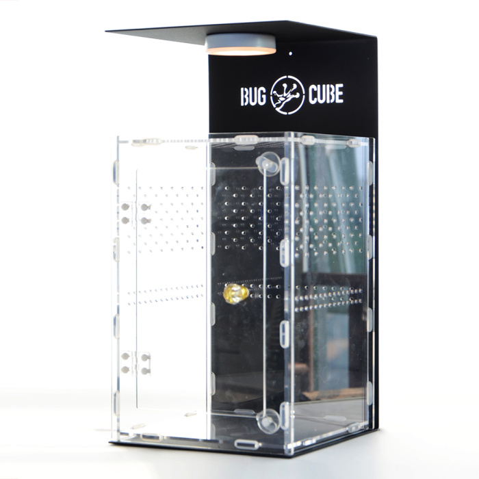 Caixa de acrílico de transmissão alta de tamanho personalizável para lagarto