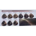 China OEM/Private Lable Permanent Hair Color with GMPC certificate Factory