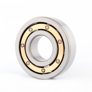Worry-free After-Sales 6016-2RS/Z3 6016-N Deep Groove Ball Bearings for Automotive