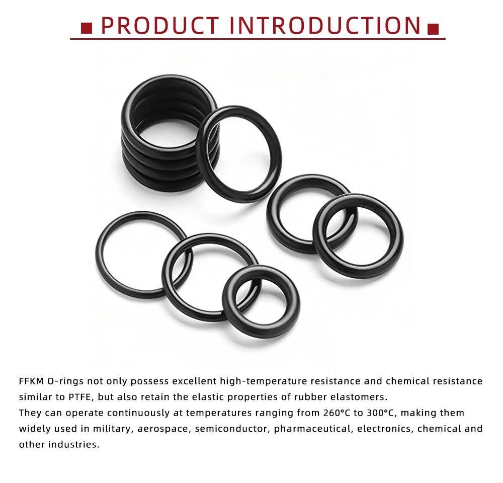 Black FFKM Perfluoroether O-Ring Seals x