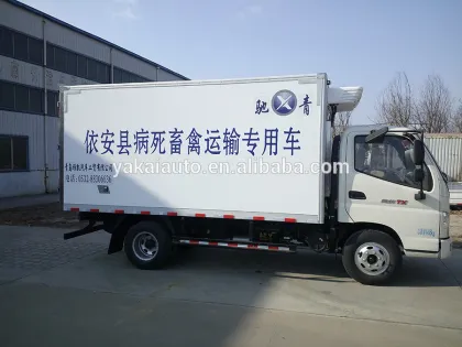Special Vehicles Refrigerated Truck Body