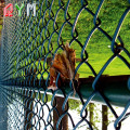 Fence a maglie di diamante alta 6 piedi Court da tennis