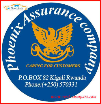 africa, japan SPARE TYRE COVER in PVC leather or PEVA