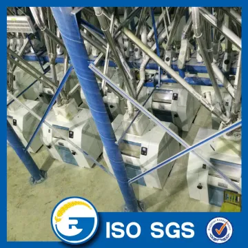 Wheat flour milling line flour making factory