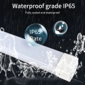 IP65 Tri-Proof LED-licht