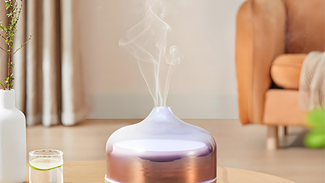 Atomizer plate for fragrance humidifier