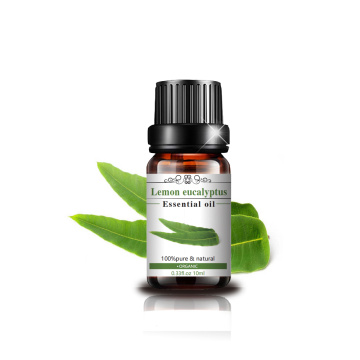 Best Price Lemon Eucalyptus Essential Oil for Insect Mosquito