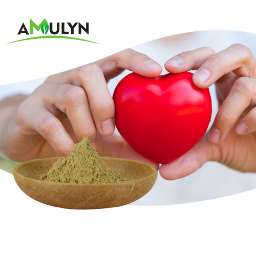 Best price ginsenosides siberian ginseng root extract powder