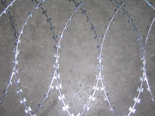 Galvanized razor wire
