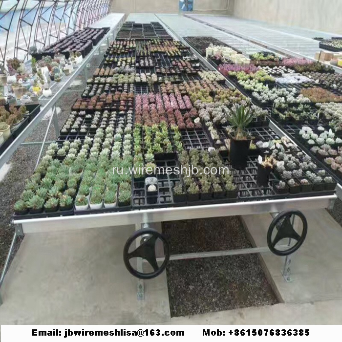 Galvanized+Welded+Wire+Mesh+Greenhouse+Rolling+Benches