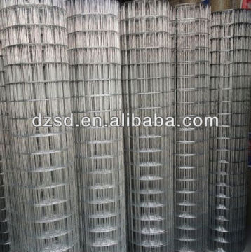 galvanized welded wire mesh
