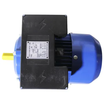 Single Phase Capacitor Running Induction Motor