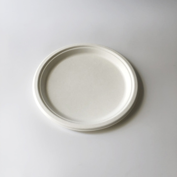 Plaque de bagasse de 10 pouces φ260 mm