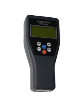 Wireless Control Palm Indicator (Hz380)