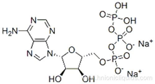 Adenosine 5'-triphosphate disodium salt CAS 987-65-5