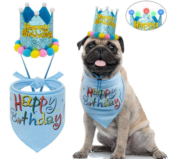 Dog Birthday Bandana with LED Hat