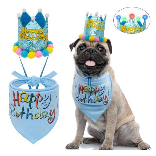 Dog Birthday Bandana with LED Hat