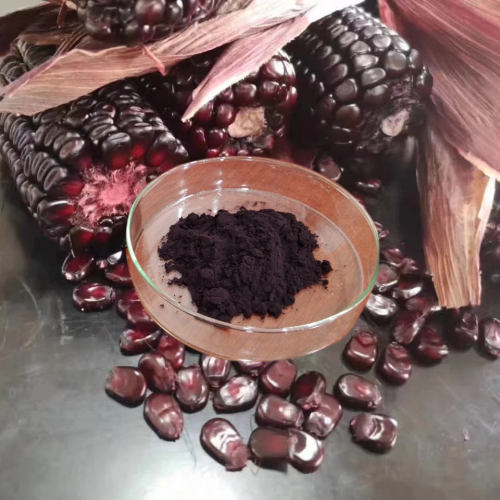 Natural Anthocyanidins Purple Corn Extract