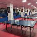 ENLIO table tennis floor/ table tennis sports flooring
