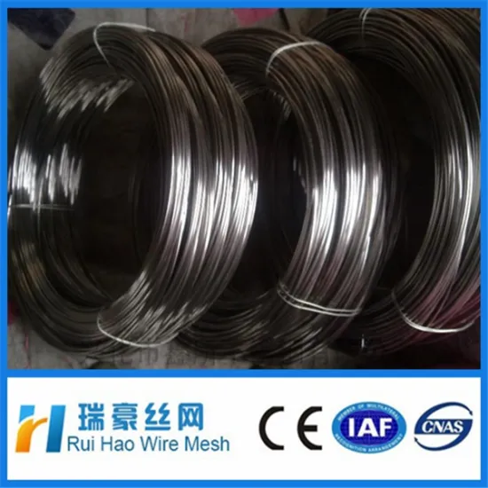 Stainless steel wire loop