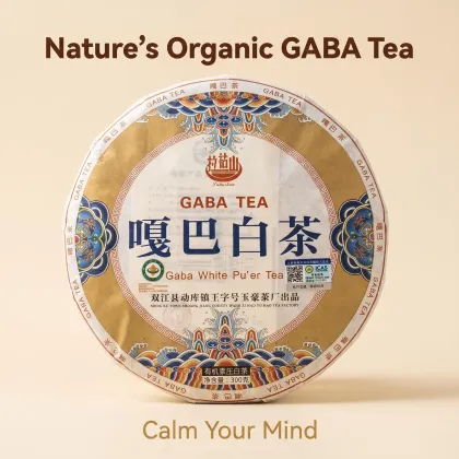 GABA Enriched Organic White Tea