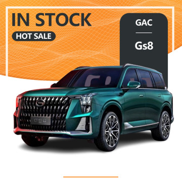 SUV Family 7-Seeater GAC GS8