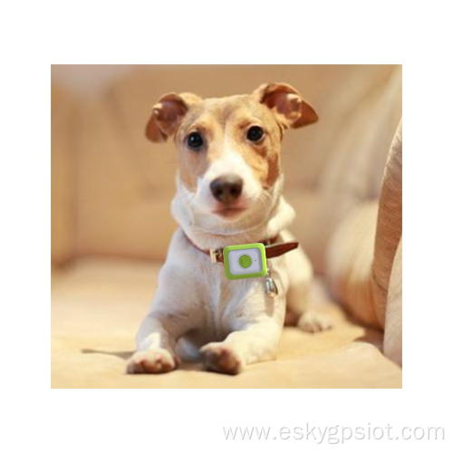 4G Smart Dog GPS Collar