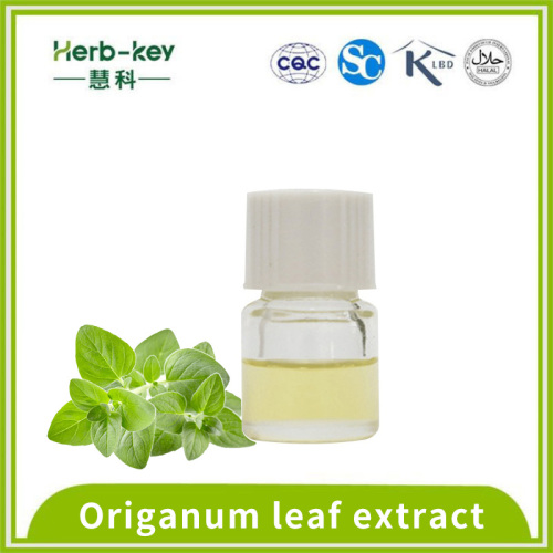 Oregano oil containing 70% oregano genylol
