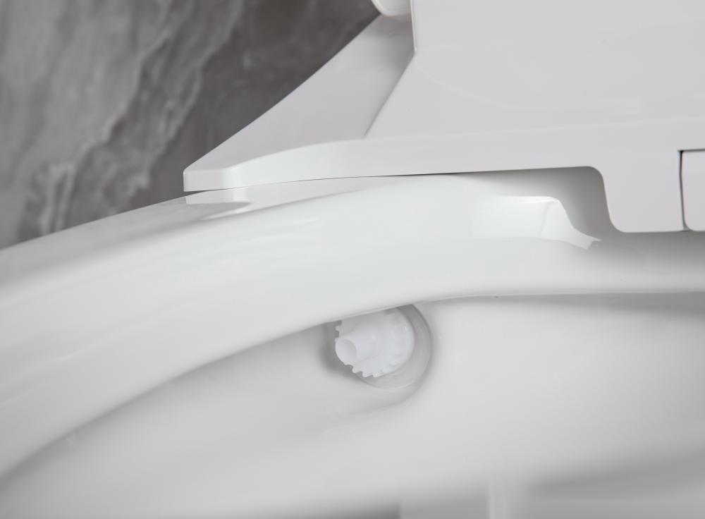 2206 11 Smart Toilet