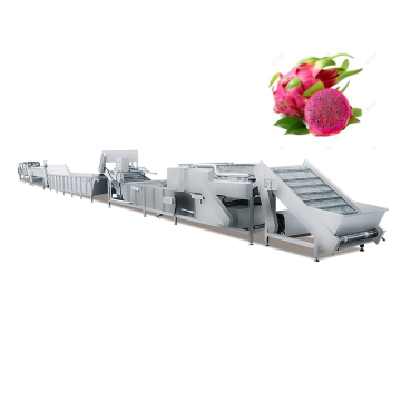 China Wholesale Fruits and Vegetable Processing Machine - Vegetable Washing Drying Line Dragon Fruit Machine